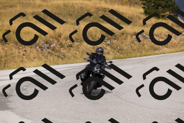 202508231137-_04A5307_c3