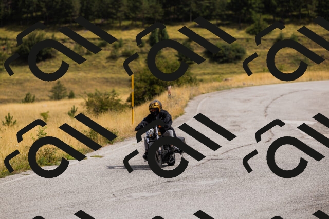 202508231138-_04A5316_c3