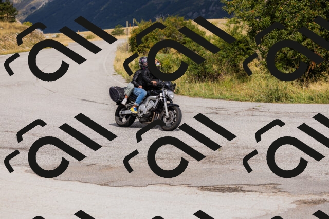 202508231154-_04A5346_c3