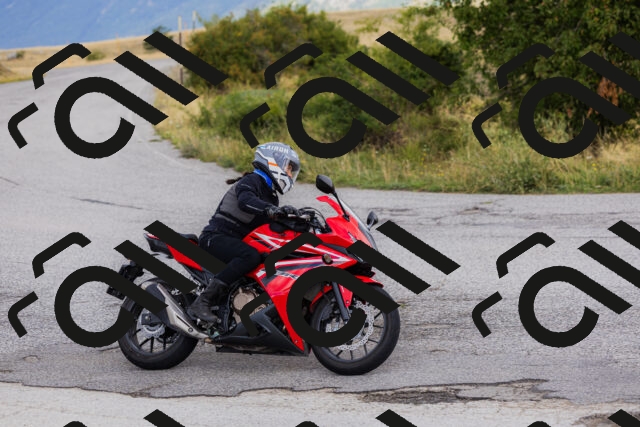 202508231204-_04A5362_c3