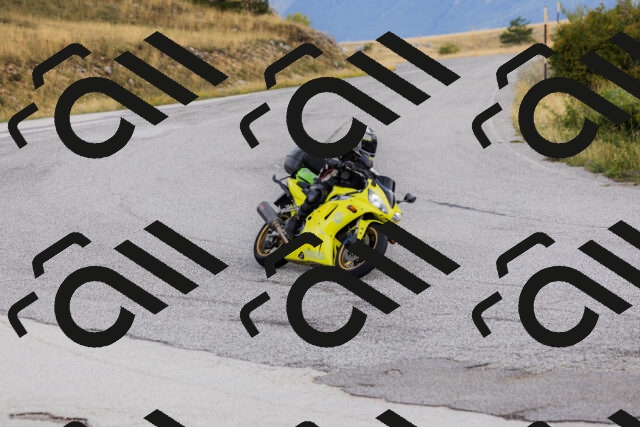 202508231206-_04A5368_c3