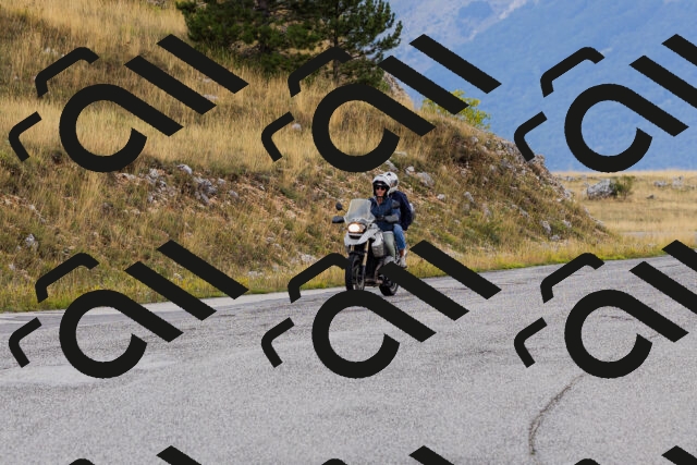 202508231207-_04A5372_c3