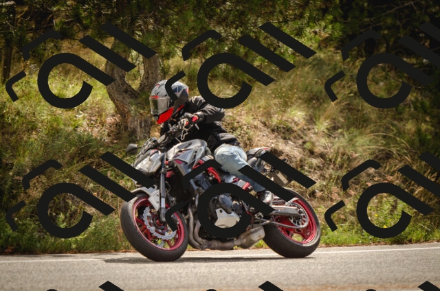 20250823105524-_0AP2839_c5_