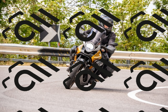 202508231222-_DSC5733_d2_