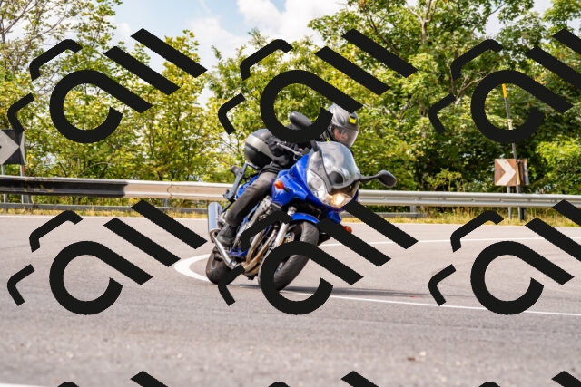 202508231223-_DSC5740_d2_