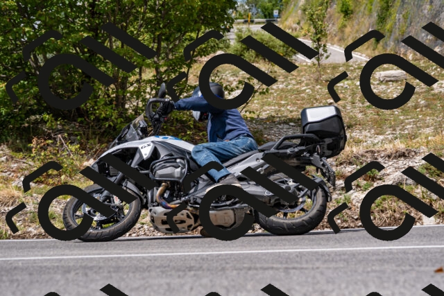 202508231225-_DSC5753_d2_