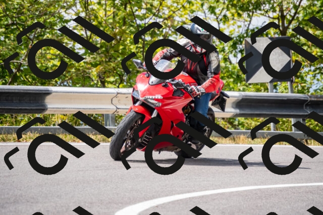 202508231229-_DSC5759_d2_