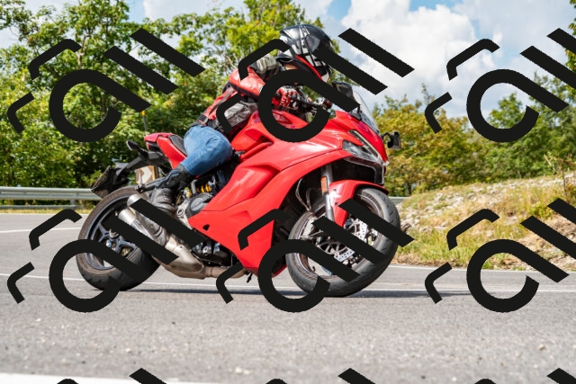 202508231229-_DSC5761_d2_