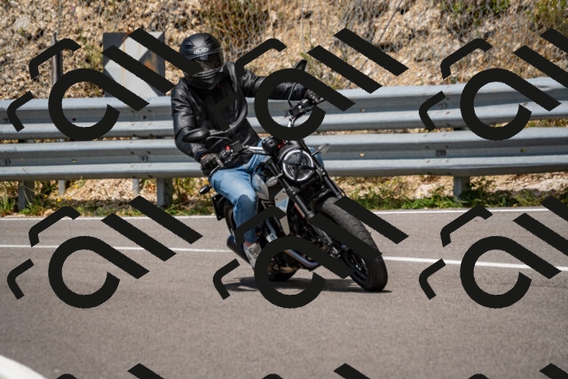 202508231233-_DSC5784_d2_