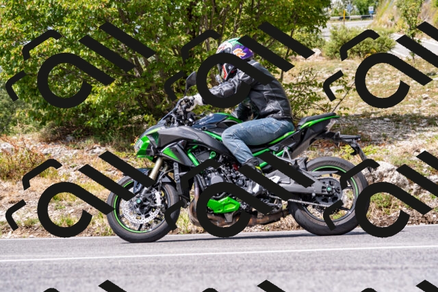 202508231234-_DSC5788_d2_