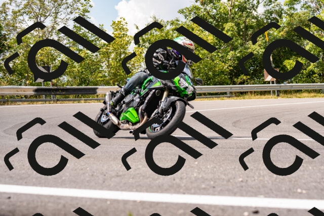 202508231236-_DSC5797_d2_