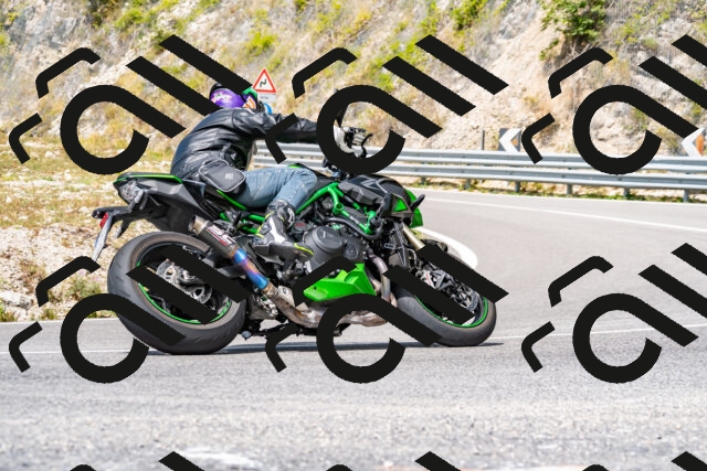 202508231236-_DSC5799_d2_