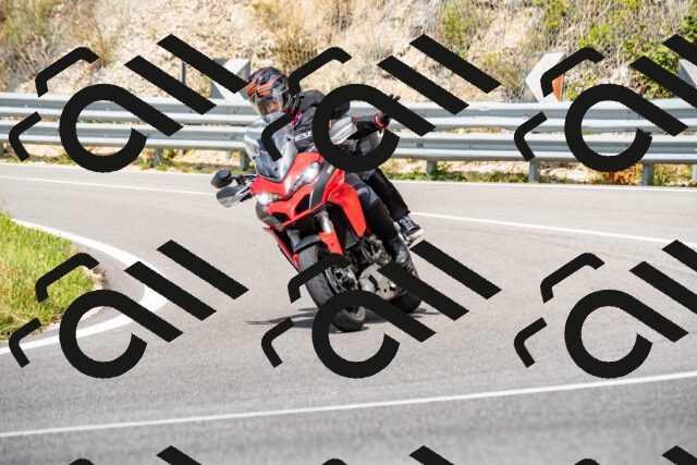 202508231237-_DSC5807_d2_