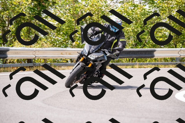 202508231248-_DSC5830_d2_