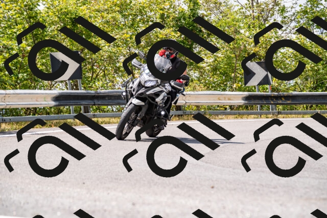 202508231249-_DSC5840_d2_