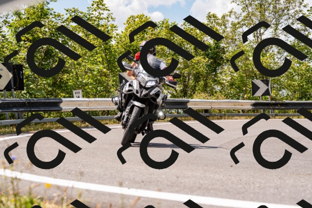 202508231249-_DSC5841_d2_