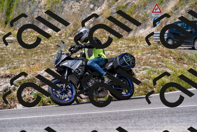 202508231259-_DSC5854_d2_