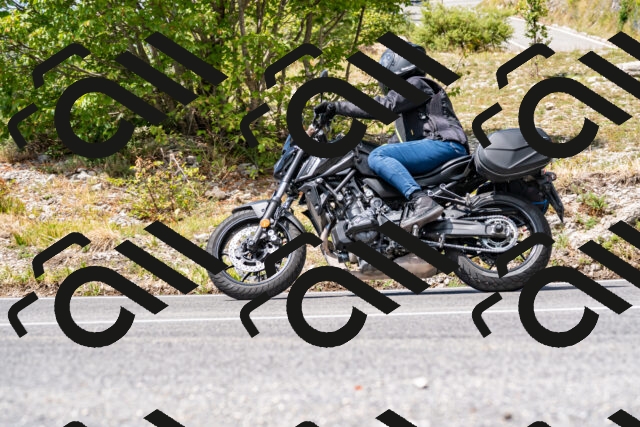 202508231259-_DSC5857_d2_