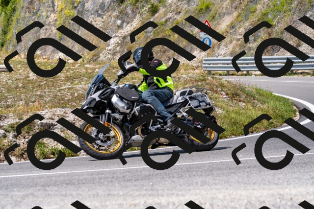 202508231302-_DSC5869_d2_