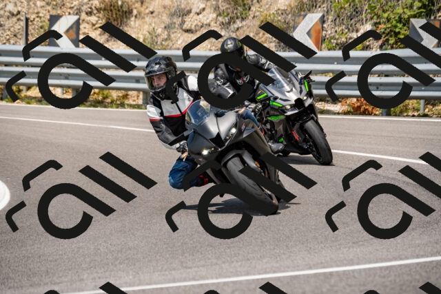 202508231303-_DSC5872_d2_