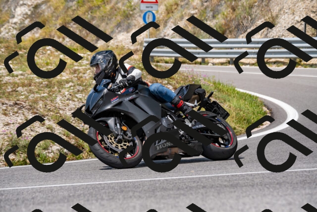 202508231303-_DSC5874_d2_