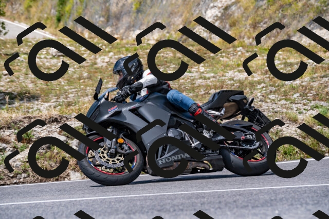 202508231303-_DSC5875_d2_