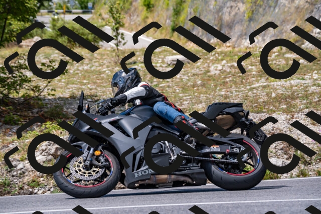 202508231303-_DSC5876_d2_