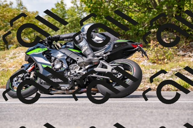 202508231303-_DSC5878_d2_