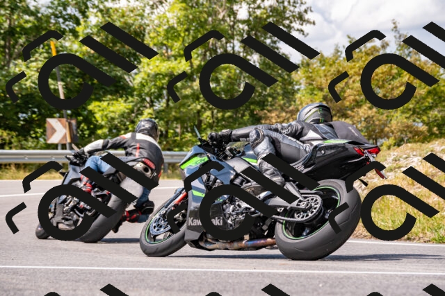 202508231303-_DSC5880_d2_