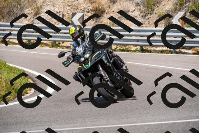 202508231303-_DSC5884_d2_