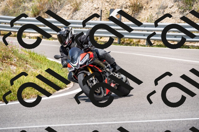 202508231303-_DSC5888_d2_