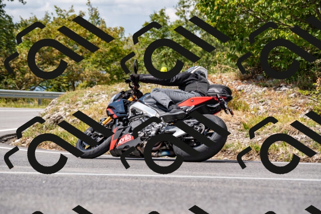 202508231303-_DSC5890_d2_