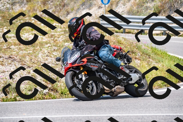 202508231303-_DSC5892_d2_