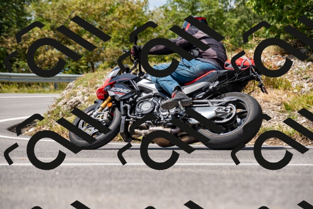 202508231303-_DSC5893_d2_