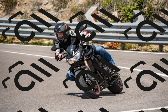 202508231304-_DSC5894_d2_