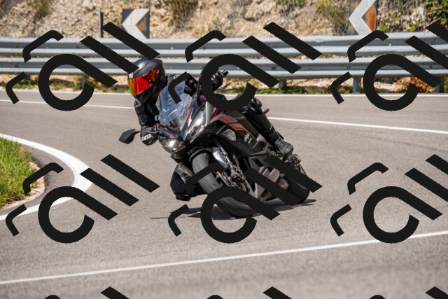 202508231308-_DSC5898_d2_