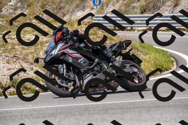 202508231308-_DSC5899_d2_