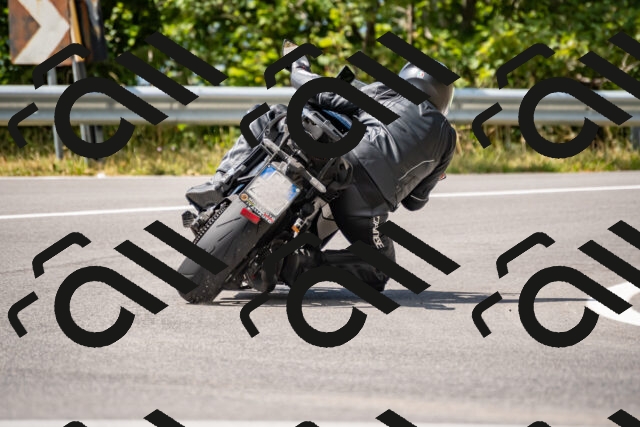 202508231308-_DSC5902_d2_