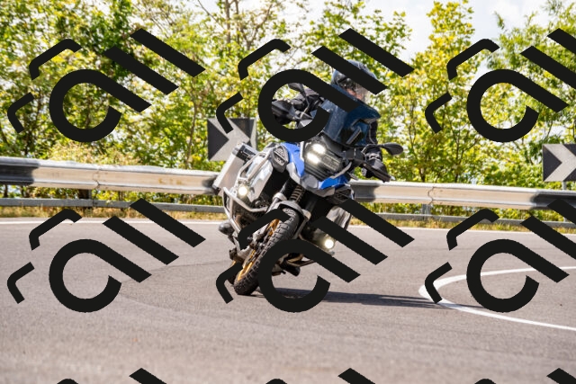 202508231317-_DSC5909_d2_