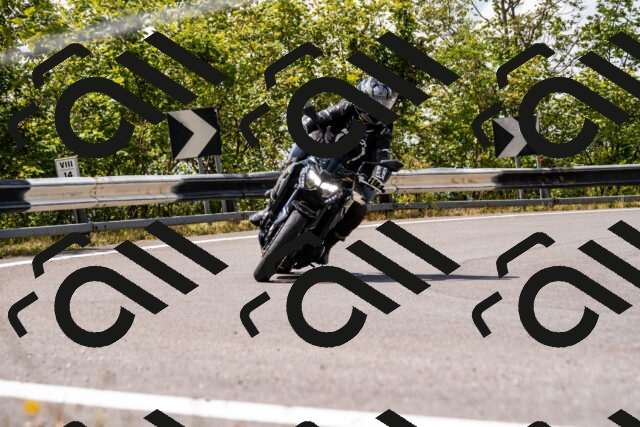 202508231318-_DSC5913_d2_