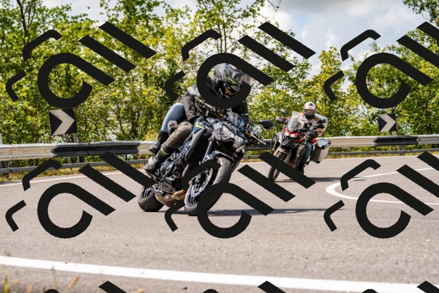 202508231318-_DSC5914_d2_