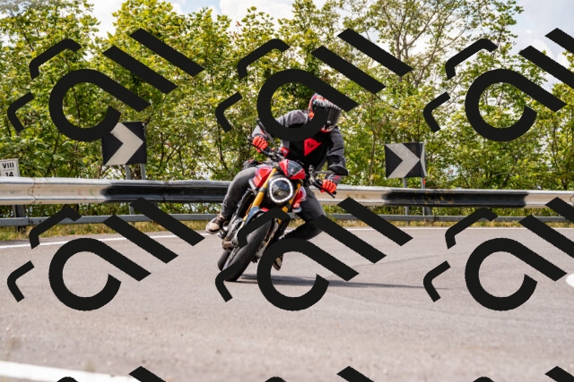 202508231318-_DSC5920_d2_