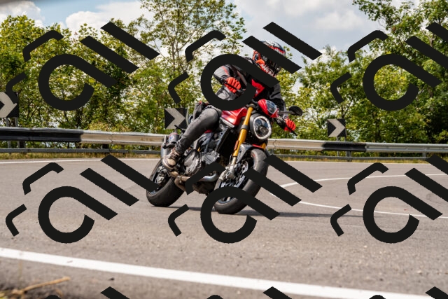 202508231318-_DSC5921_d2_