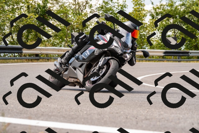 202508231321-_DSC5931_d2_