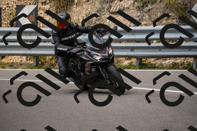 202508231326-_DSC5940_d2_