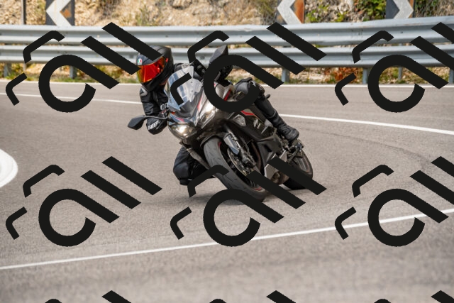 202508231326-_DSC5941_d2_