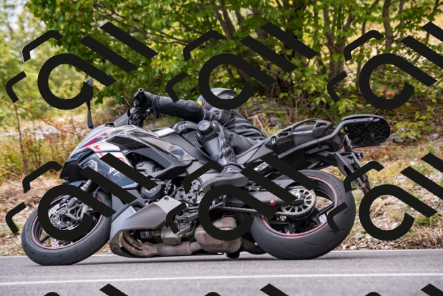 202508231326-_DSC5943_d2_