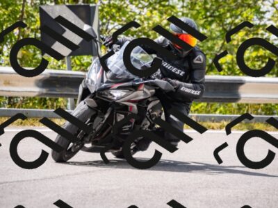 202508231330-_DSC5950_d2_