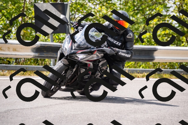 202508231330-_DSC5950_d2_