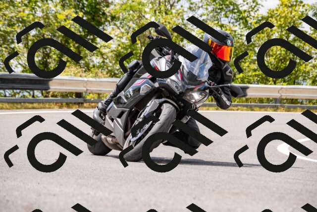 202508231330-_DSC5951_d2_